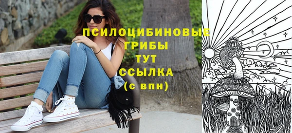 таблы Богородицк