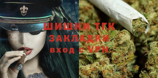 таблы Богородицк