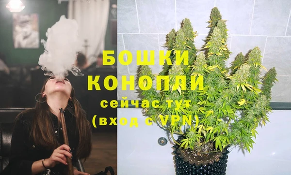 стафф Богородск