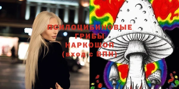 стафф Богородск